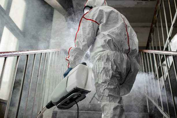 Biohazard Mold Removal in Great Neck Gardens, NY